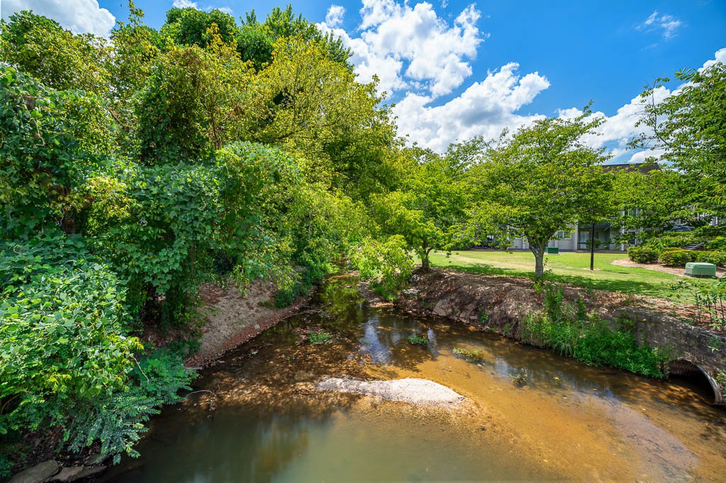 The Harrison Image 32