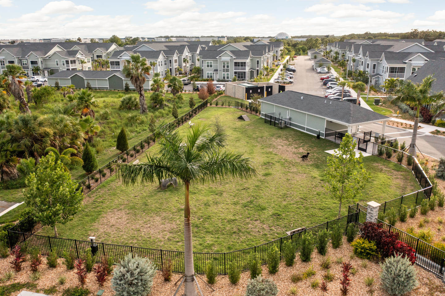 Palm Grove Image 48