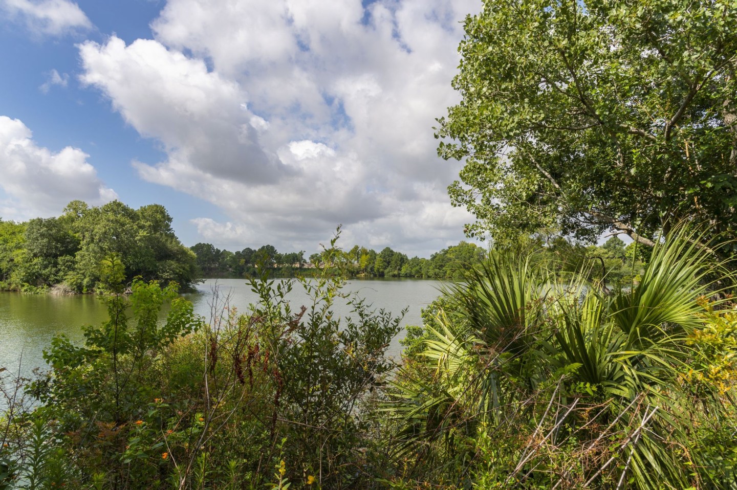 Breakers at Windmill Lakes Image 42