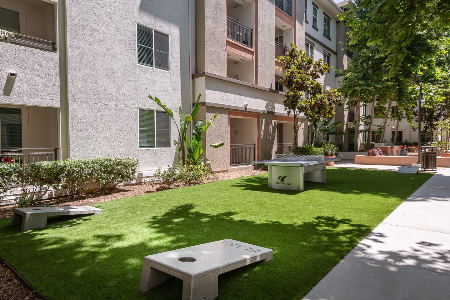 Elara Image 10