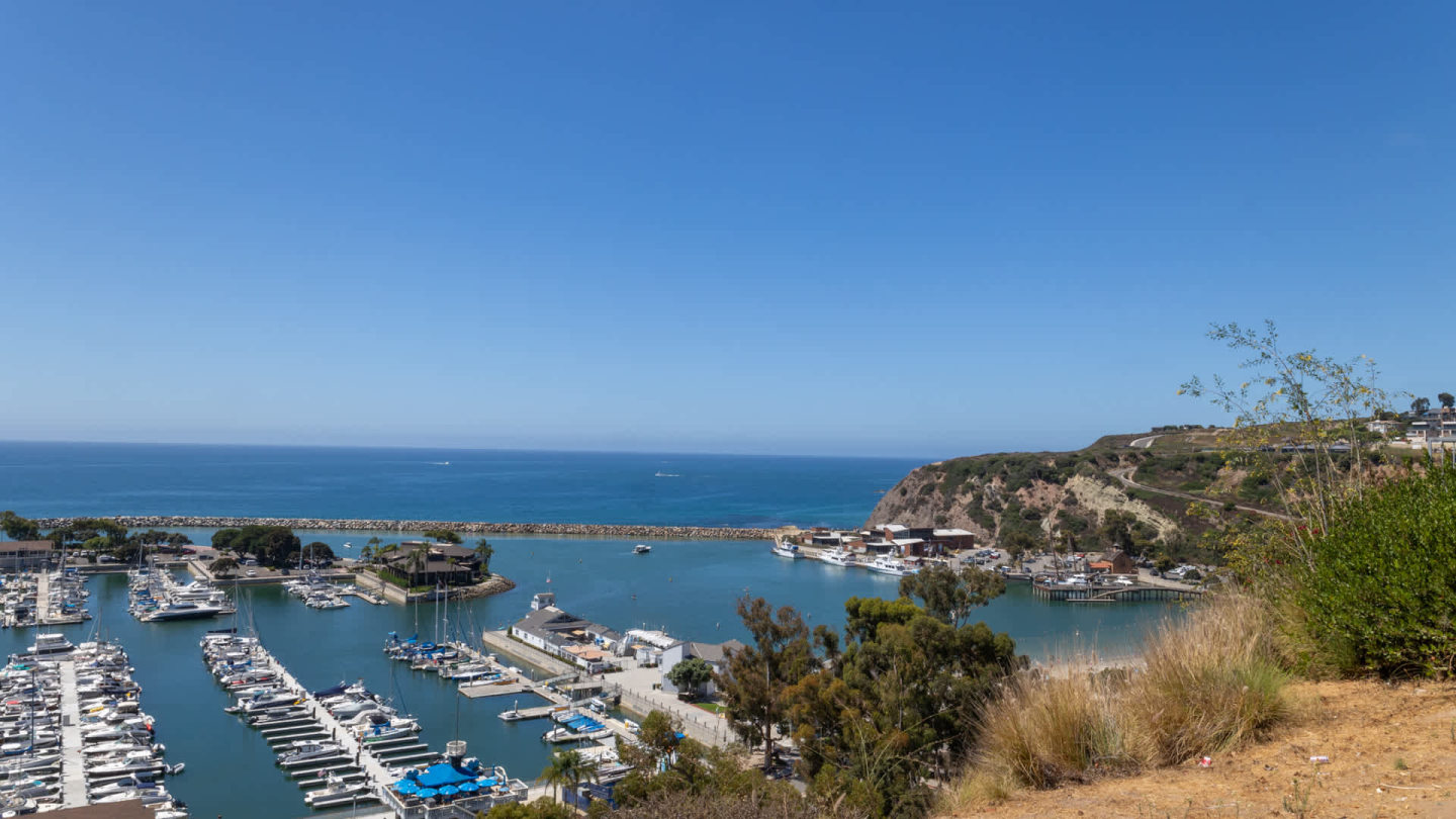 Villa Solana Image 34