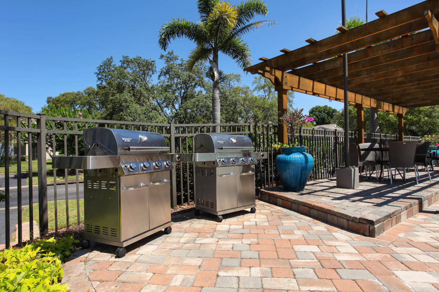 Agora at Port Richey Image 3