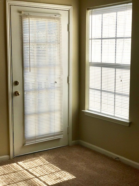 Forest Pointe Apartment Homes Image 10