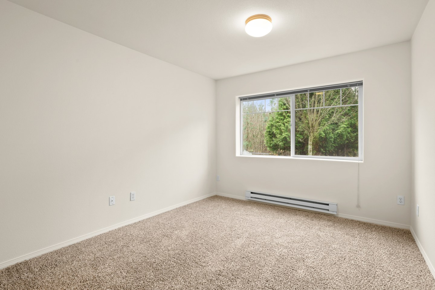 Woodview Image 20