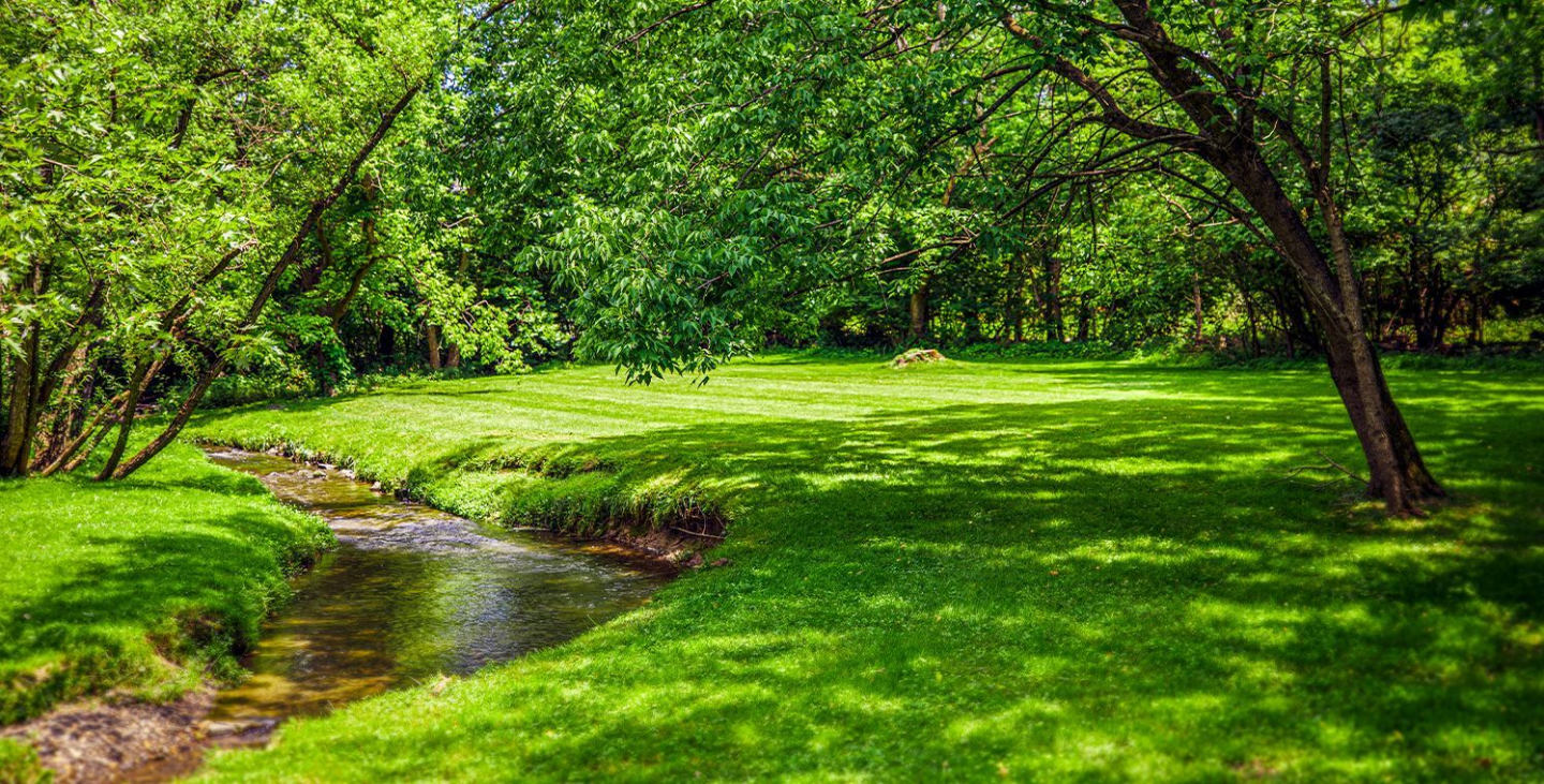 J Creekside at Exton Image 34