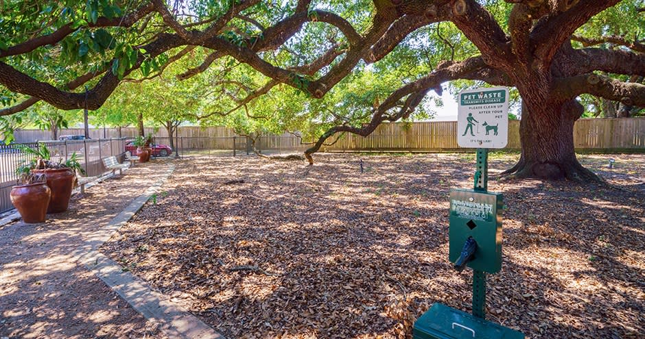 Northgate Oaks Image 60