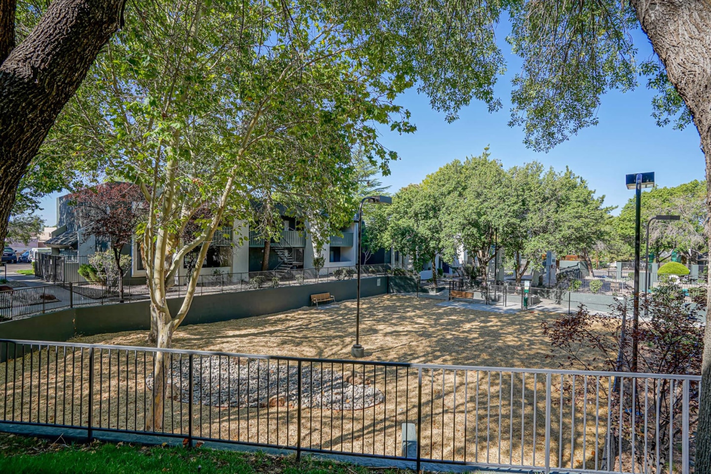 Treehouse Apartments Image 55