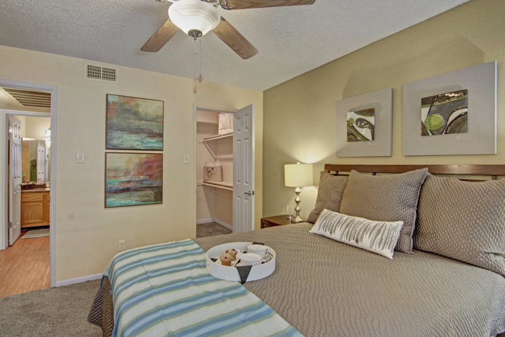 Desert Horizon Image 10