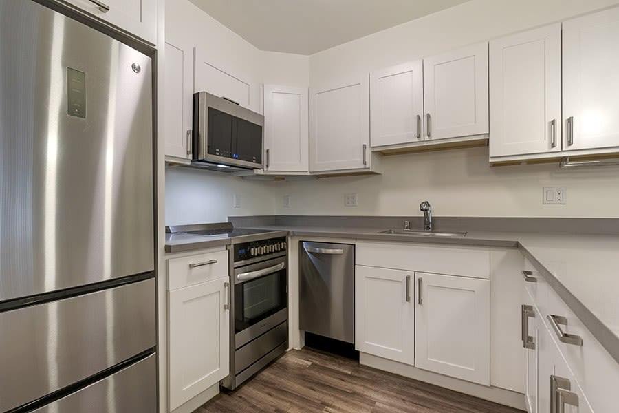 351 Lester Avenue Apartments Image 5