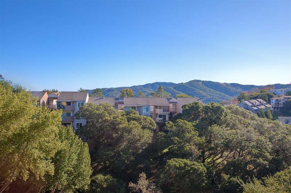 View at Marin Apartments Image 9