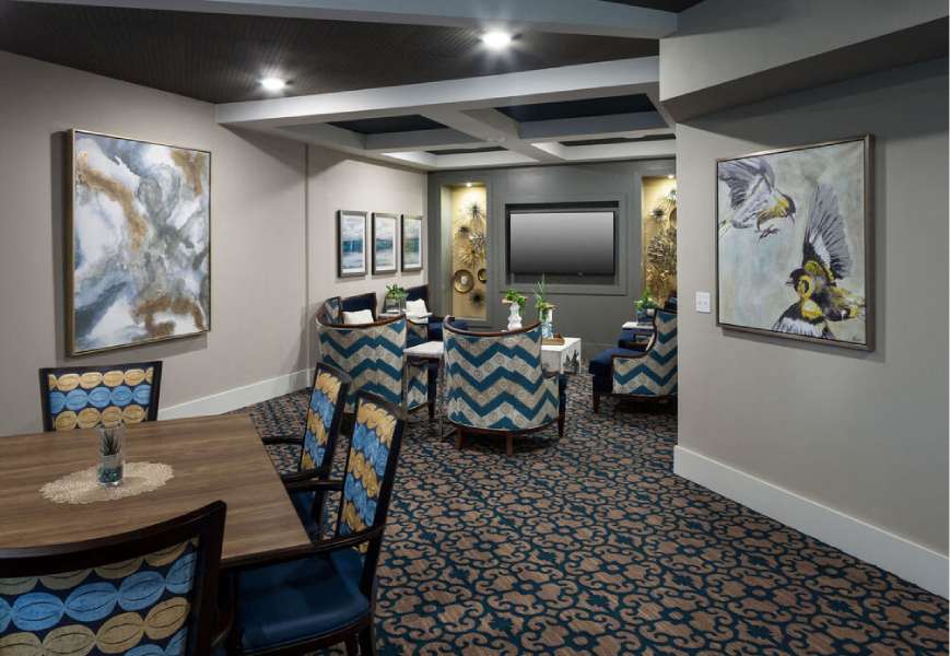 Firewheel Town Village 55+ Community Image 25