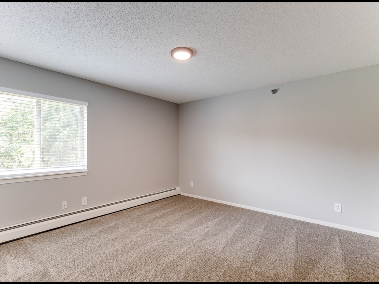 White Pines Image 3