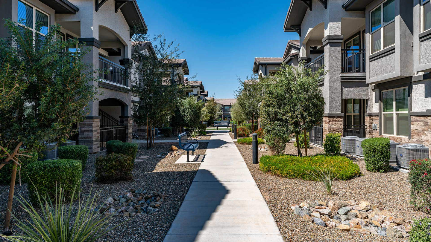 Senita on Cave Creek Image 26
