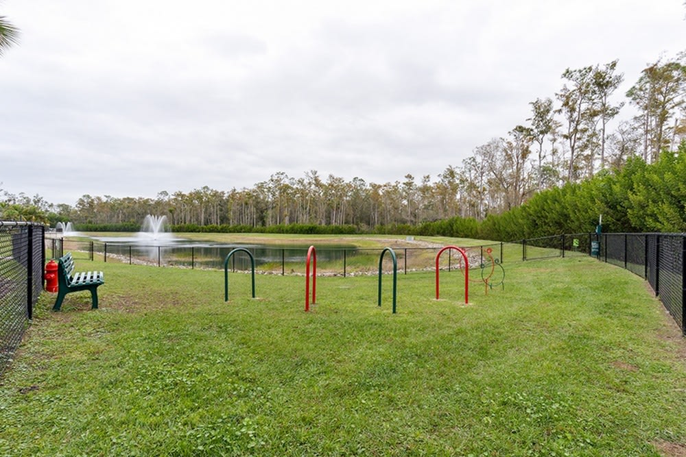 81 West Image 46