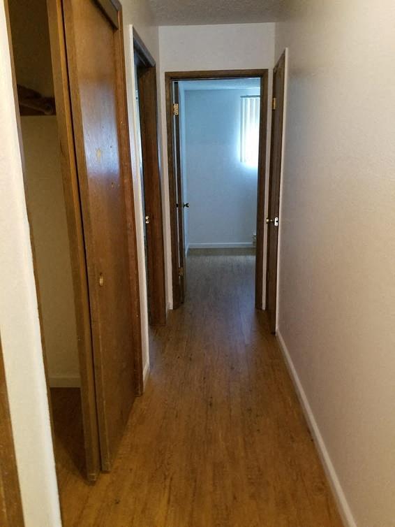 Rochelle Apartments Image 11