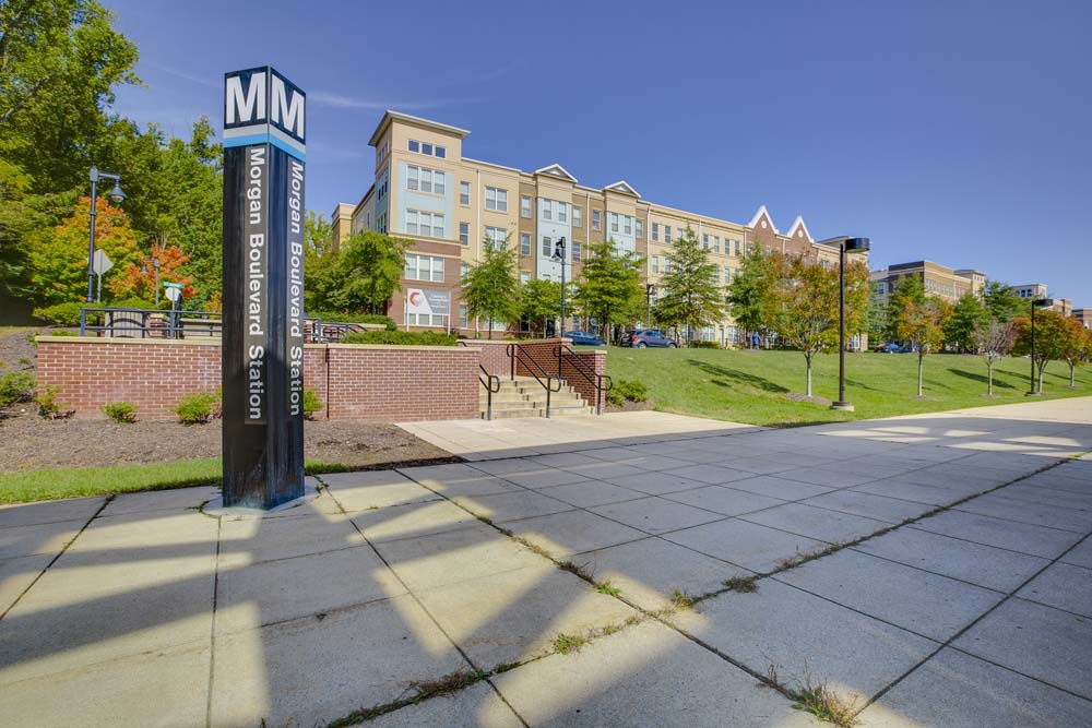 Summerfield at Morgan Metro Image 27