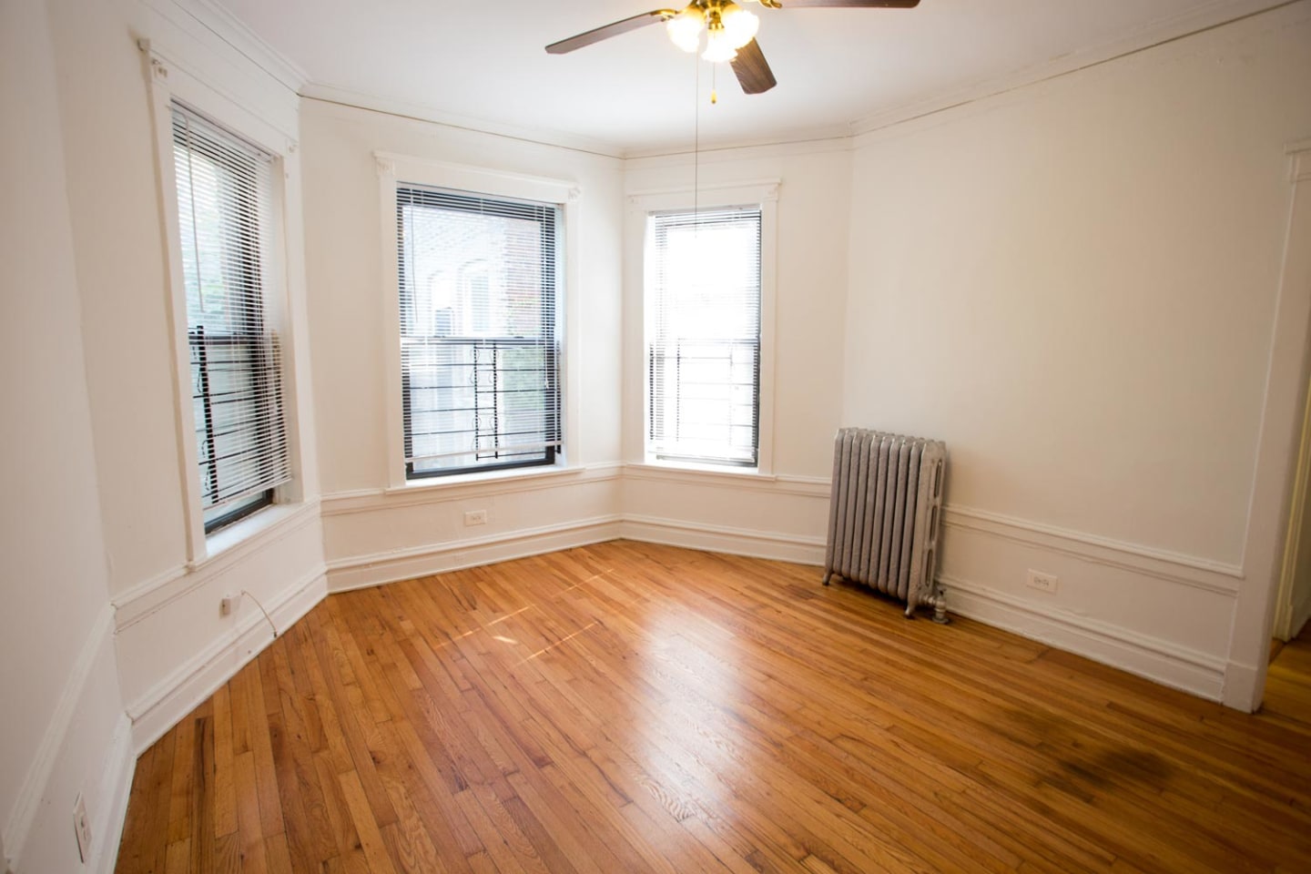 5411-5421 S. Ellis Avenue Image 17