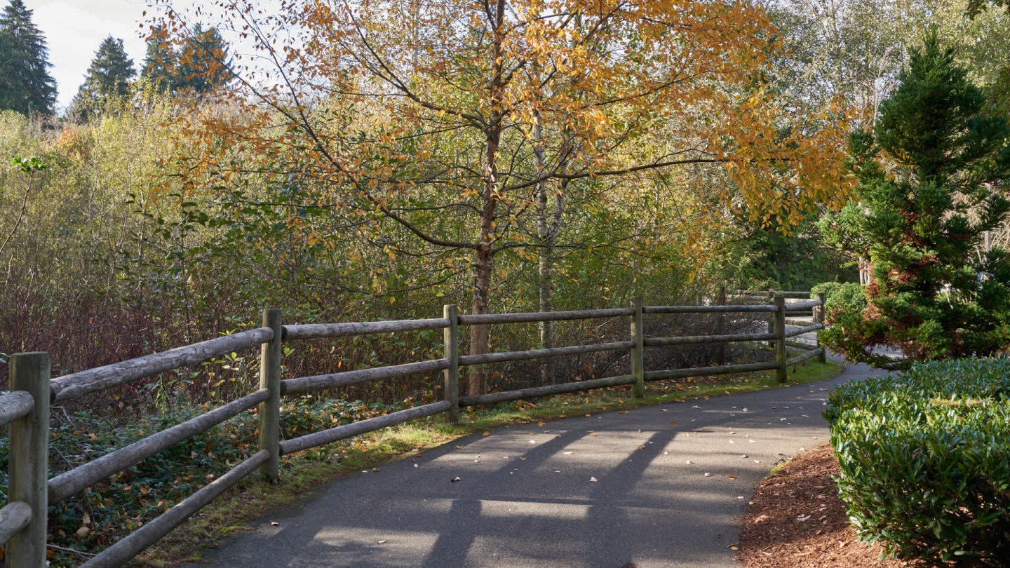 The Reserve at Town Center Image 68
