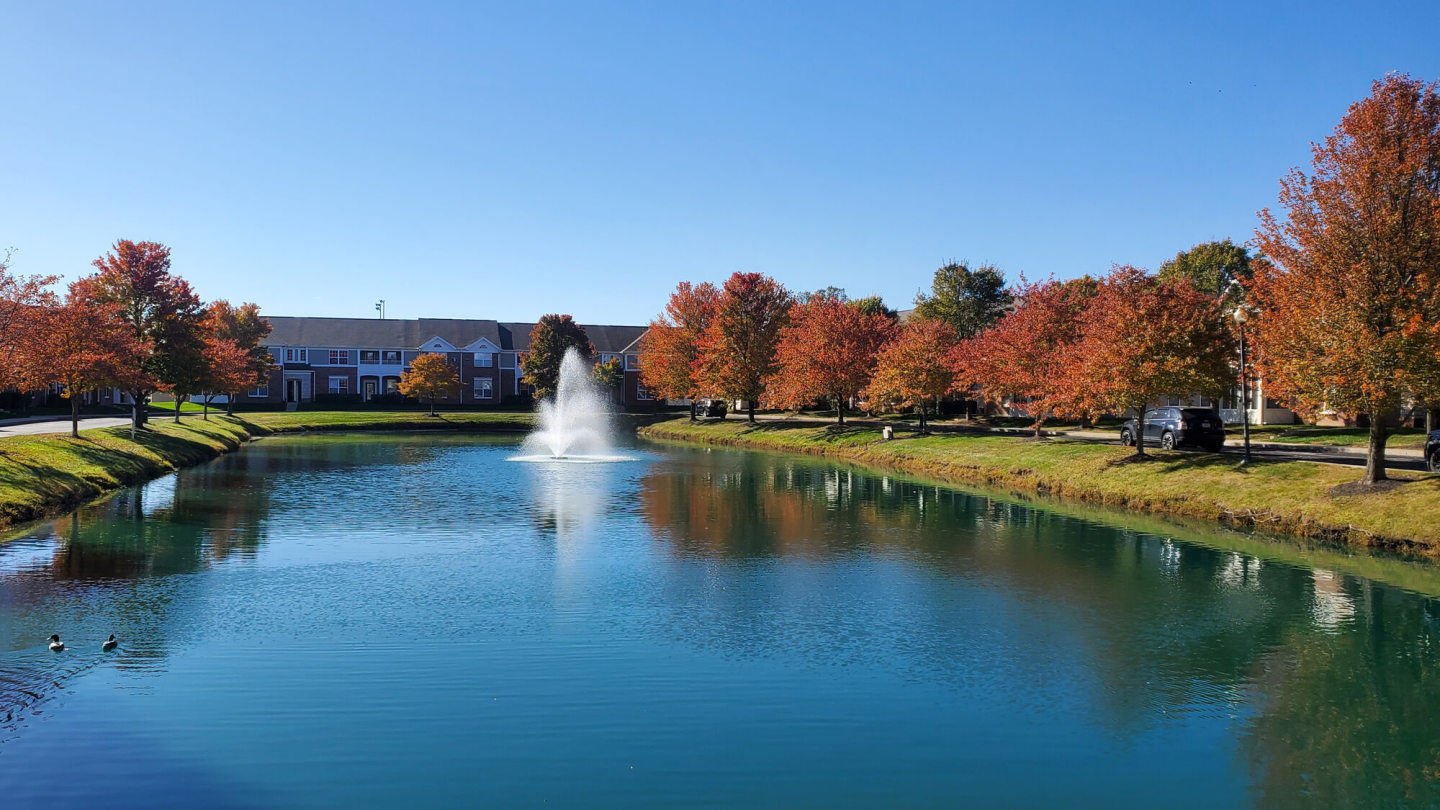 Pebble Brook Village Image 1