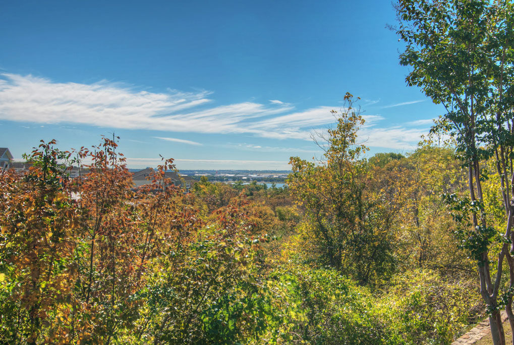 Wildwood Branch Image 33