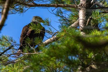 Pointe28 Image 9