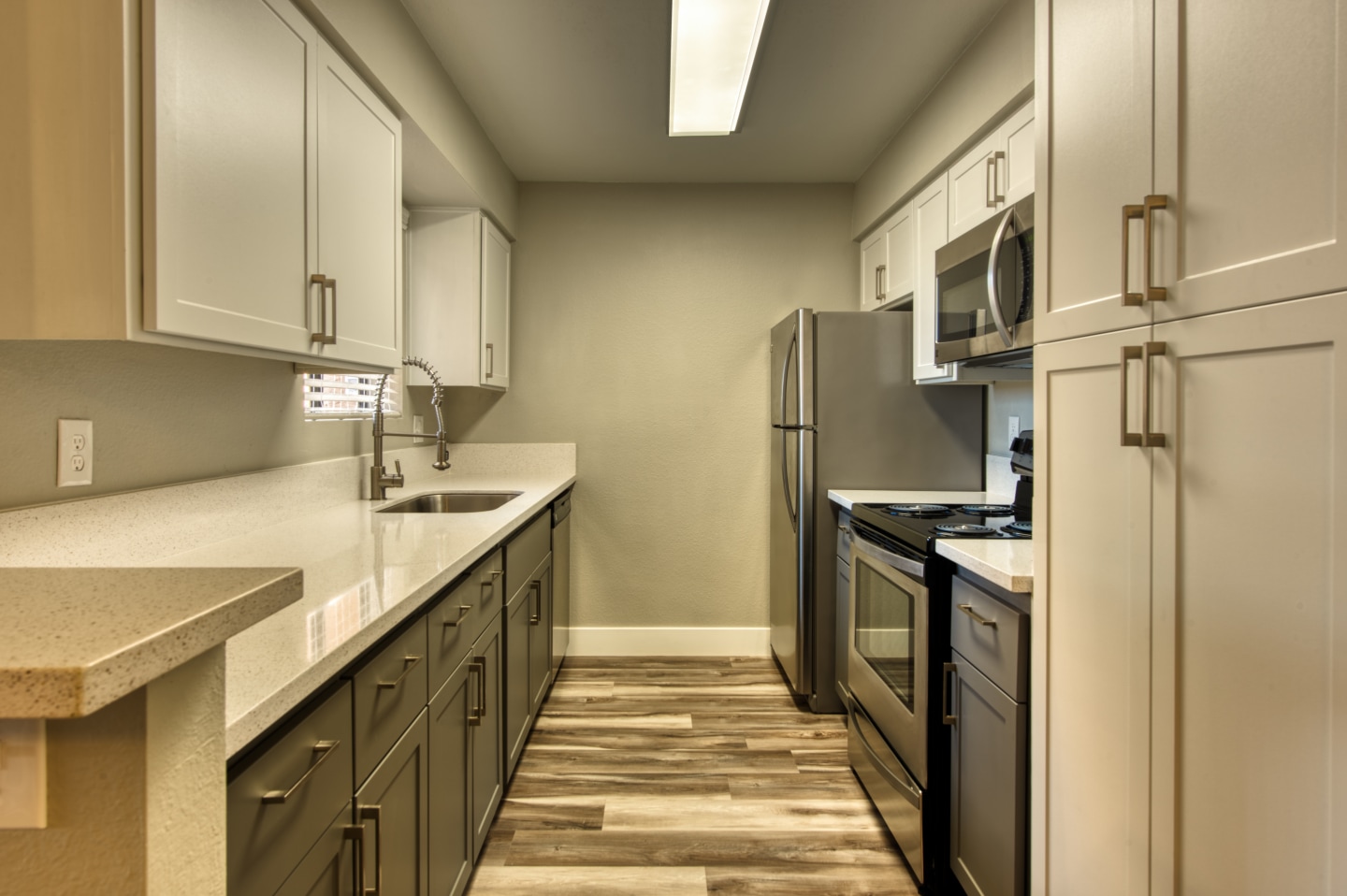 Avana Tempe Image 6