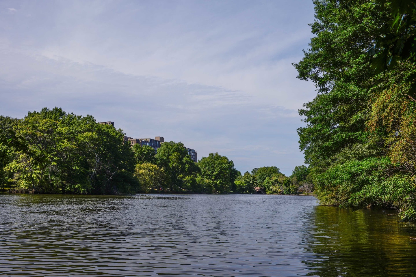 Bell Olmsted Park Image 21