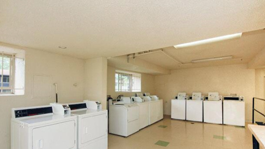 The Courts of Camp Springs Image 13