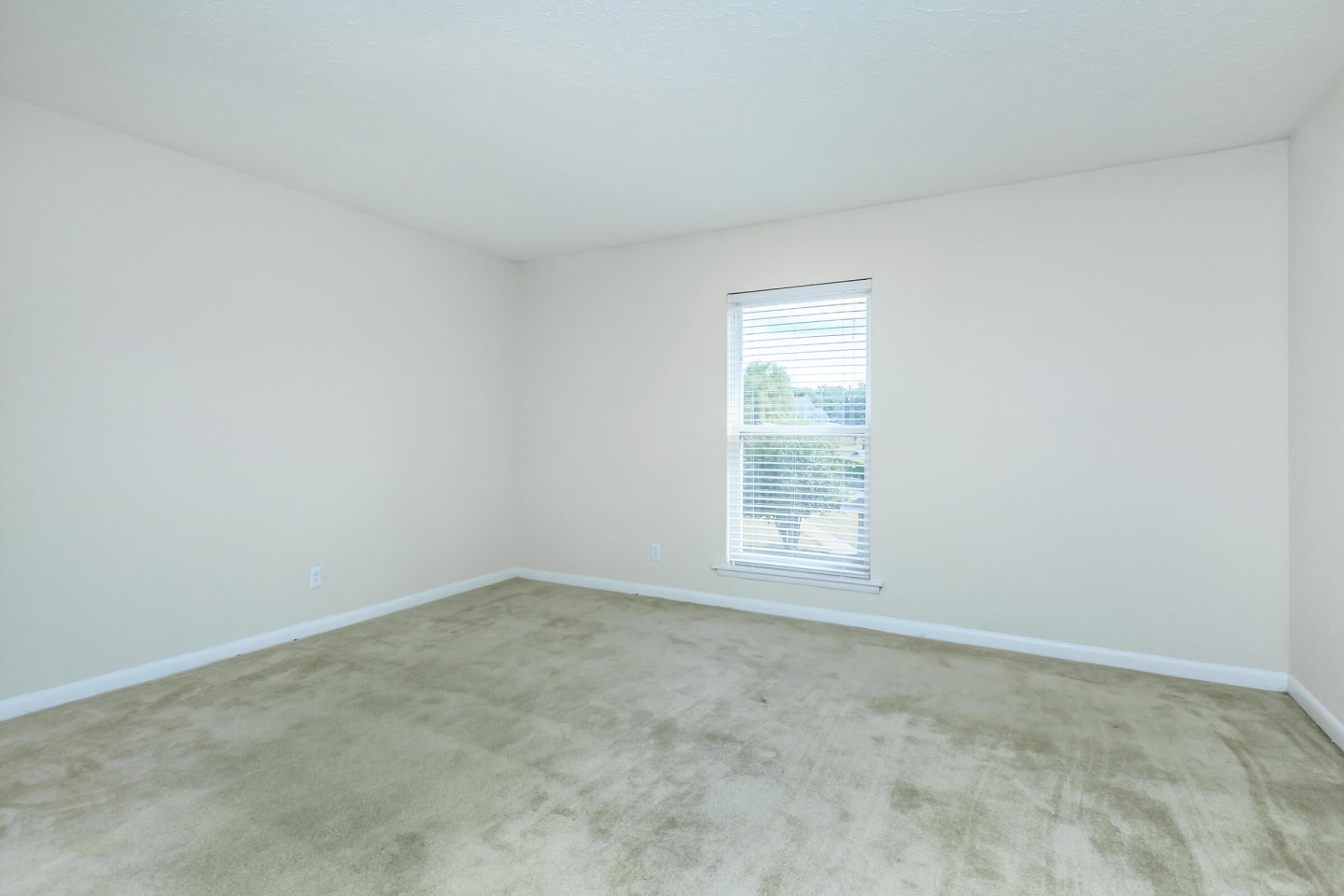 Chase Cove Image 66