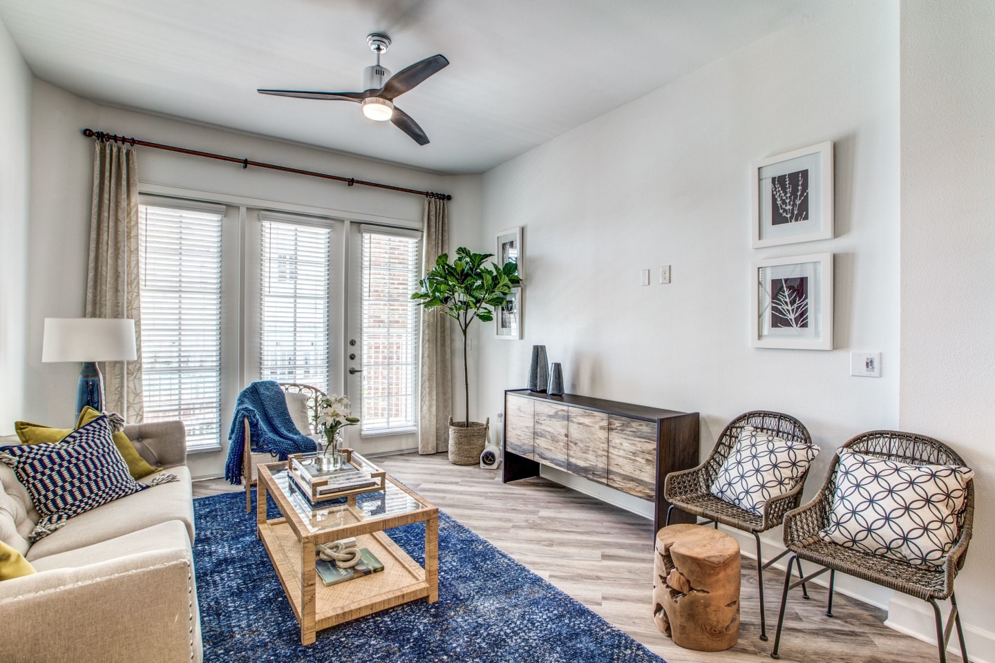 255 Assay Luxury Apartments Image 13