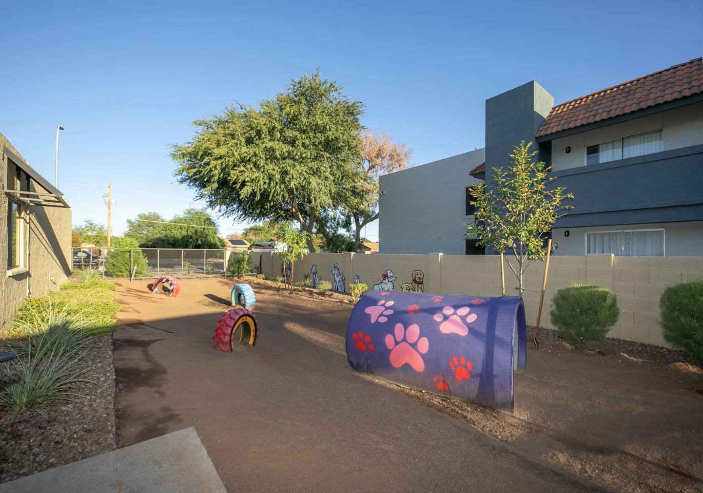 59 Evergreen Image 15