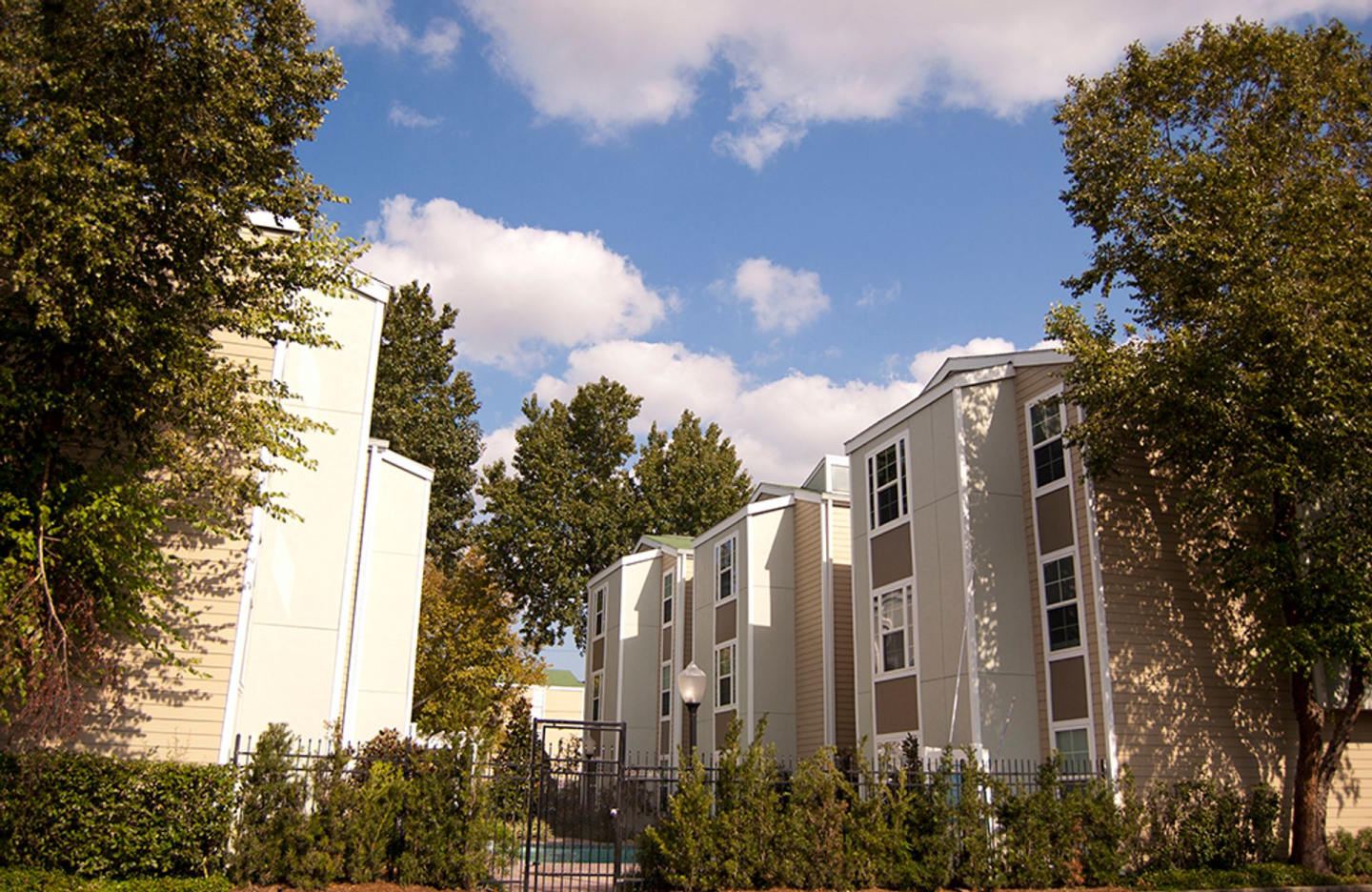 Willowood Image 3