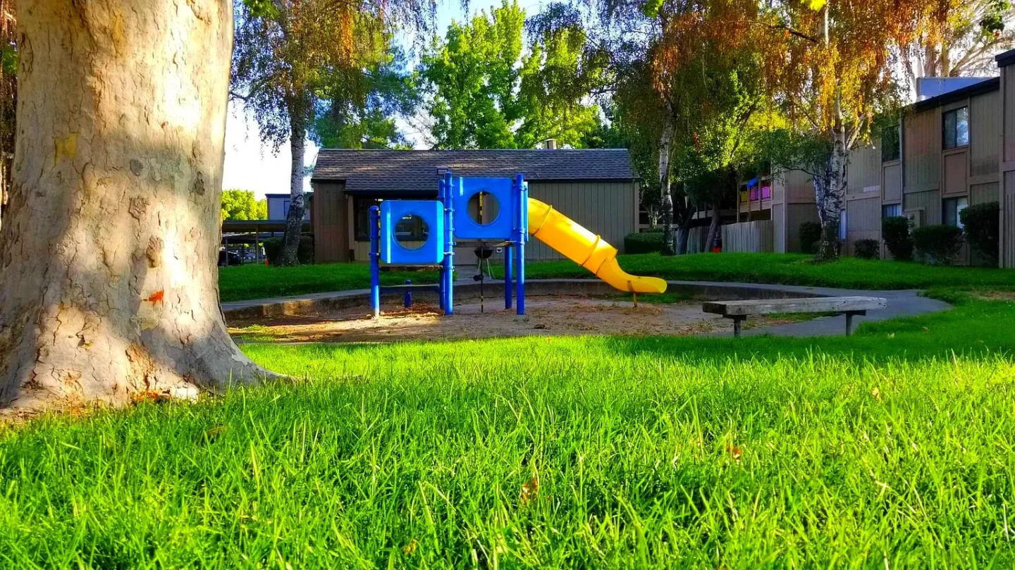 Pine Manor Image 7