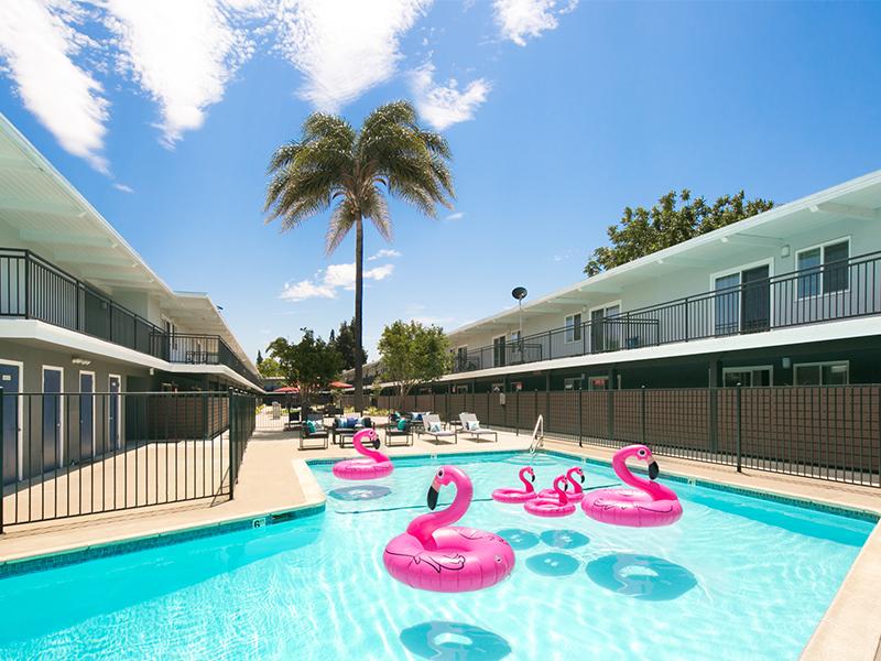 Aloha Apartments Image 1