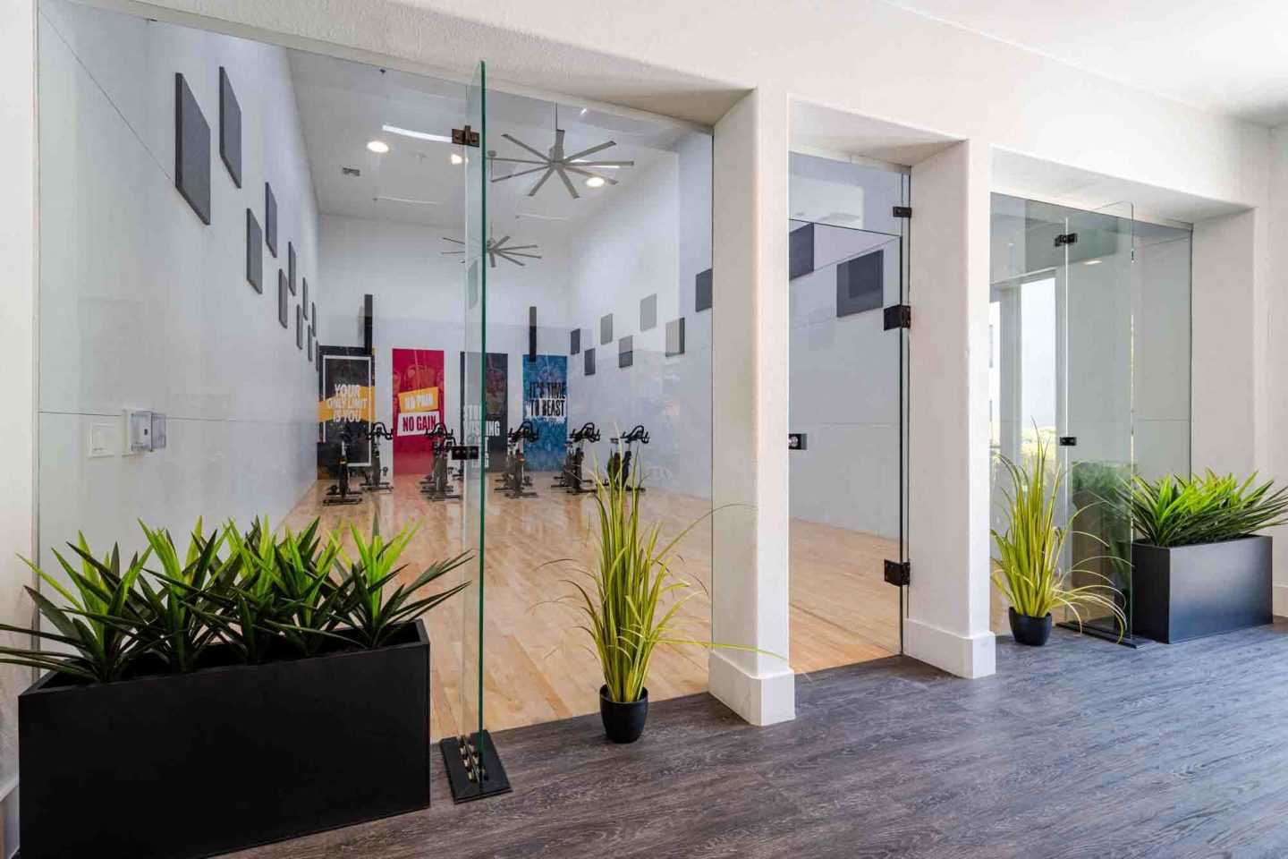 Zone Apartments Image 17