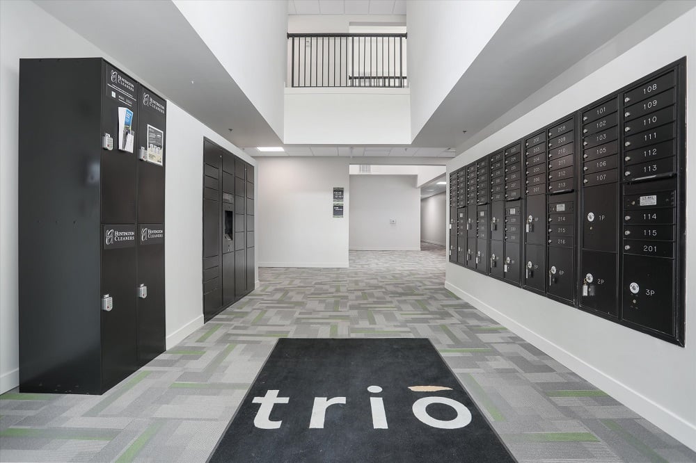 Trio Image 33