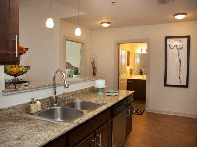 Bienville Basin Image 12