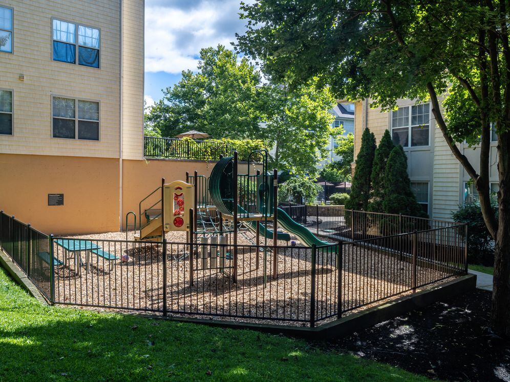 Avalon at Chestnut Hill Image 6