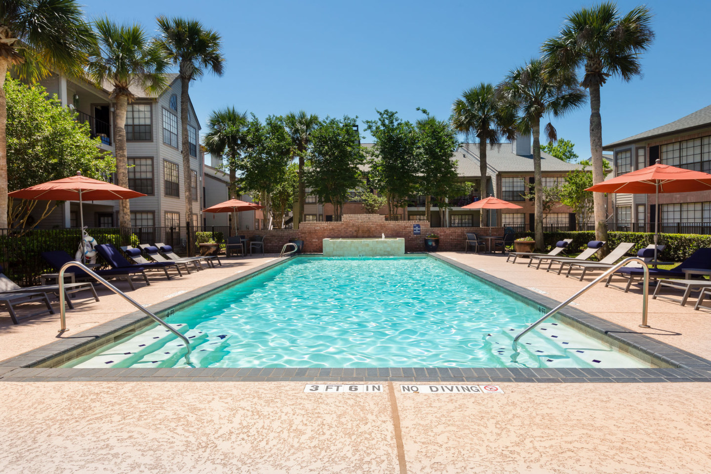 McAlister Image 8