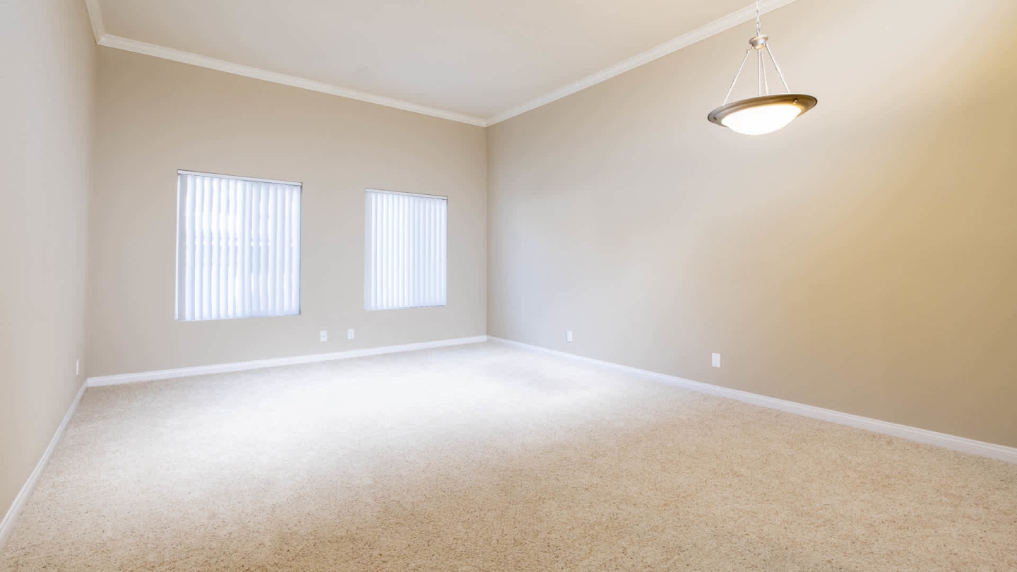 The Vantage Image 53