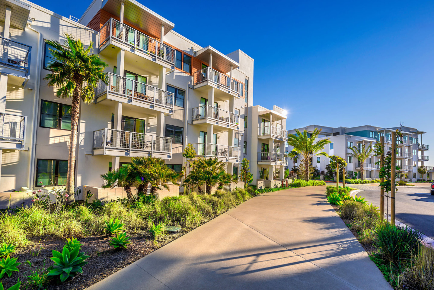 Coastline Ventura Image 19