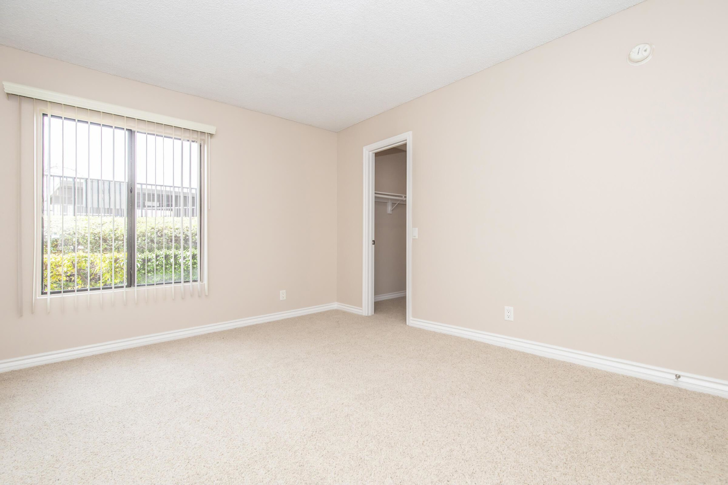 Raintree Apartment Homes Image 6