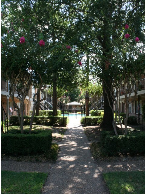 Memorial City Apartments Image 6