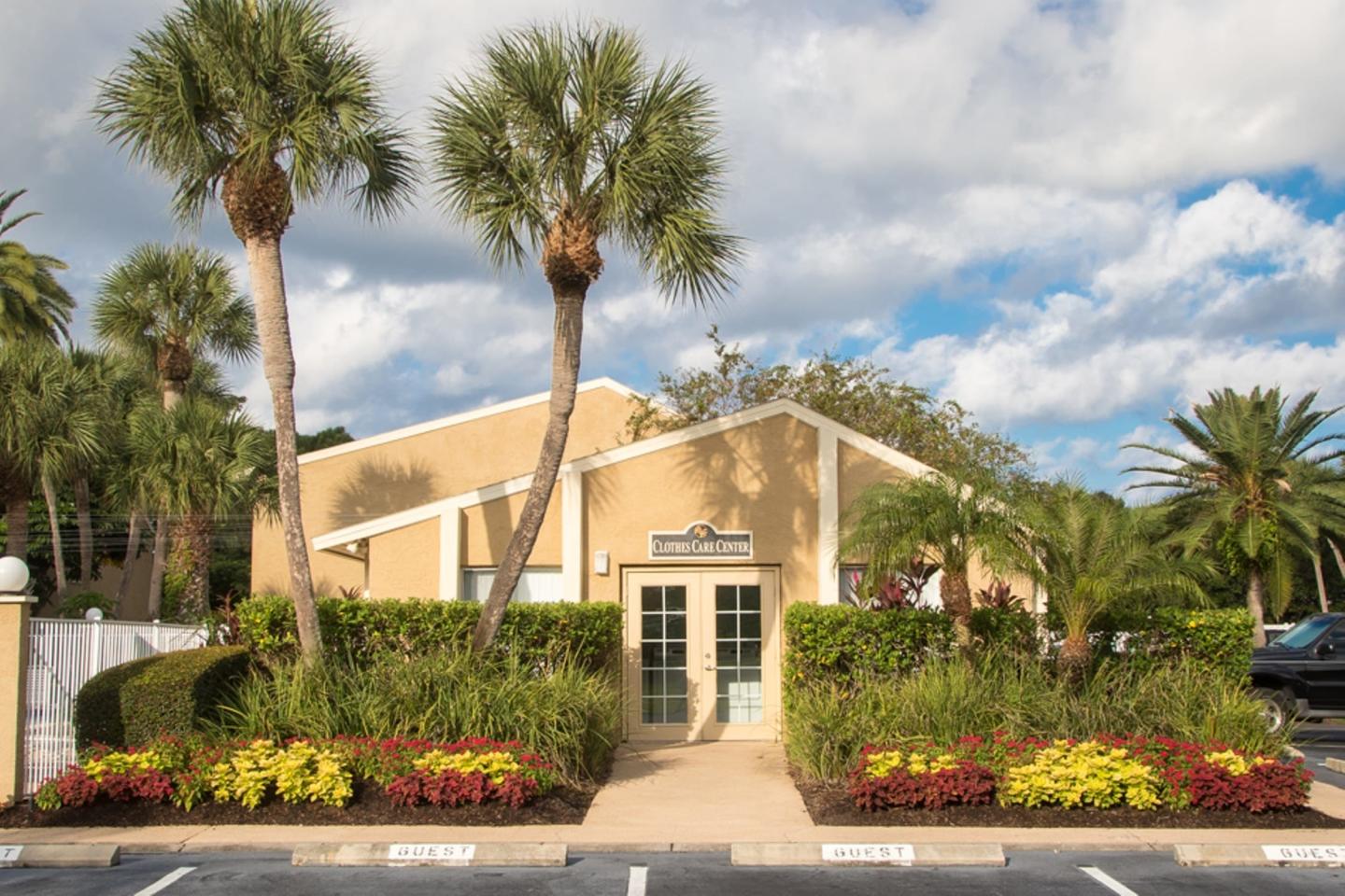 Silver Palms Image 16