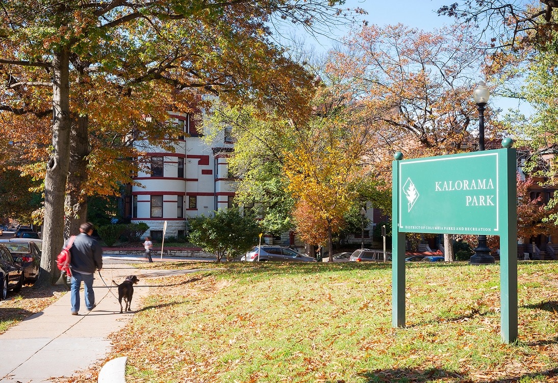 Connecticut Gardens Image 18