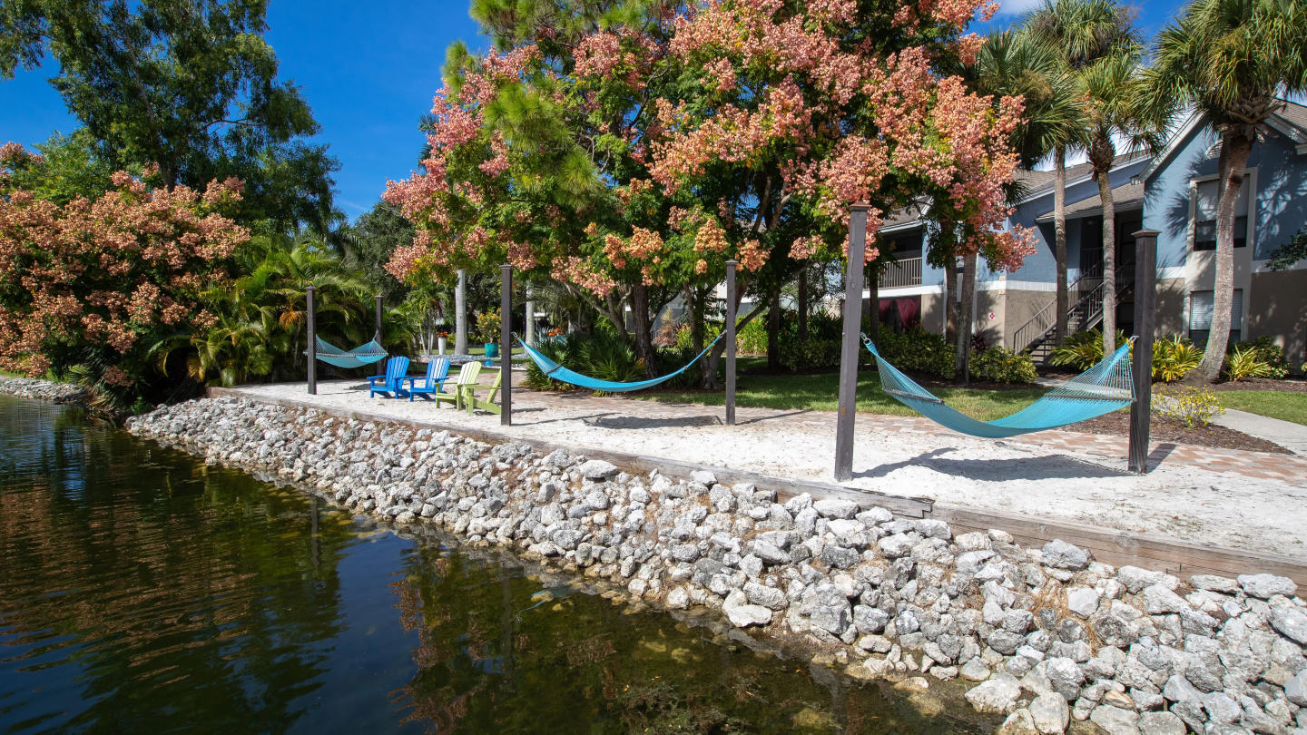 River Reach Image 38