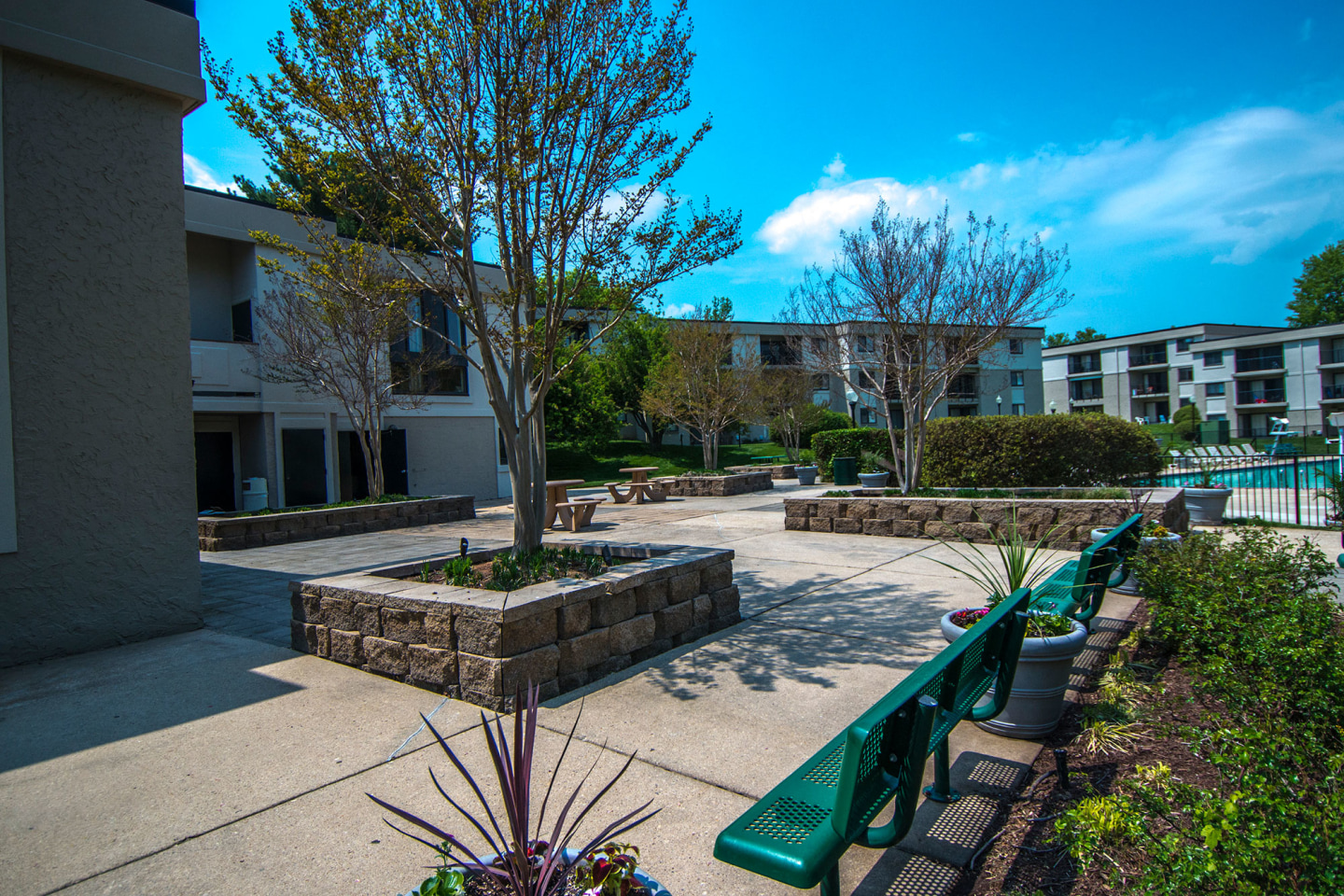 Ashley Apartments Image 24