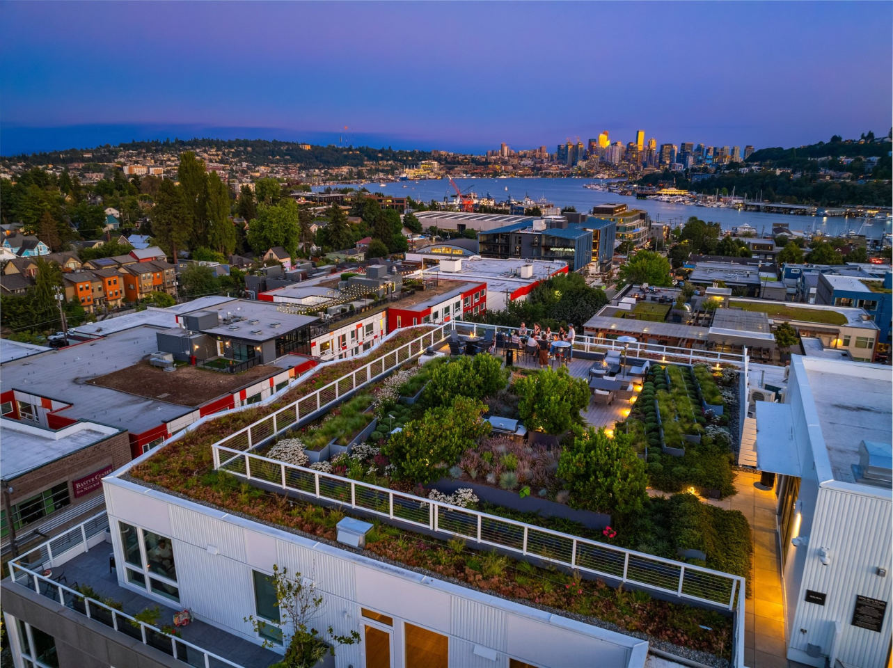 The Cline Image 22