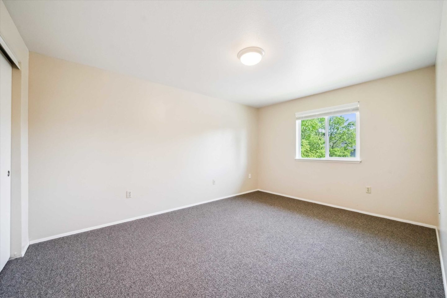 Bristol Court Apartments Image 10