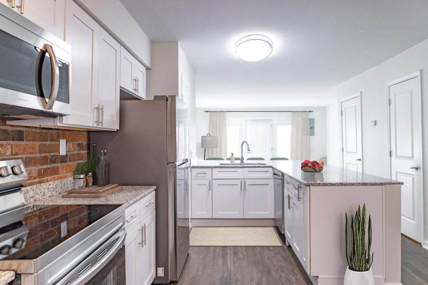 Monon Living Image 26